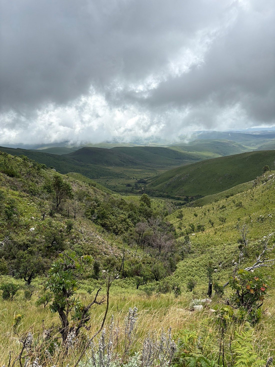 RunNyanga Compulsory Gear