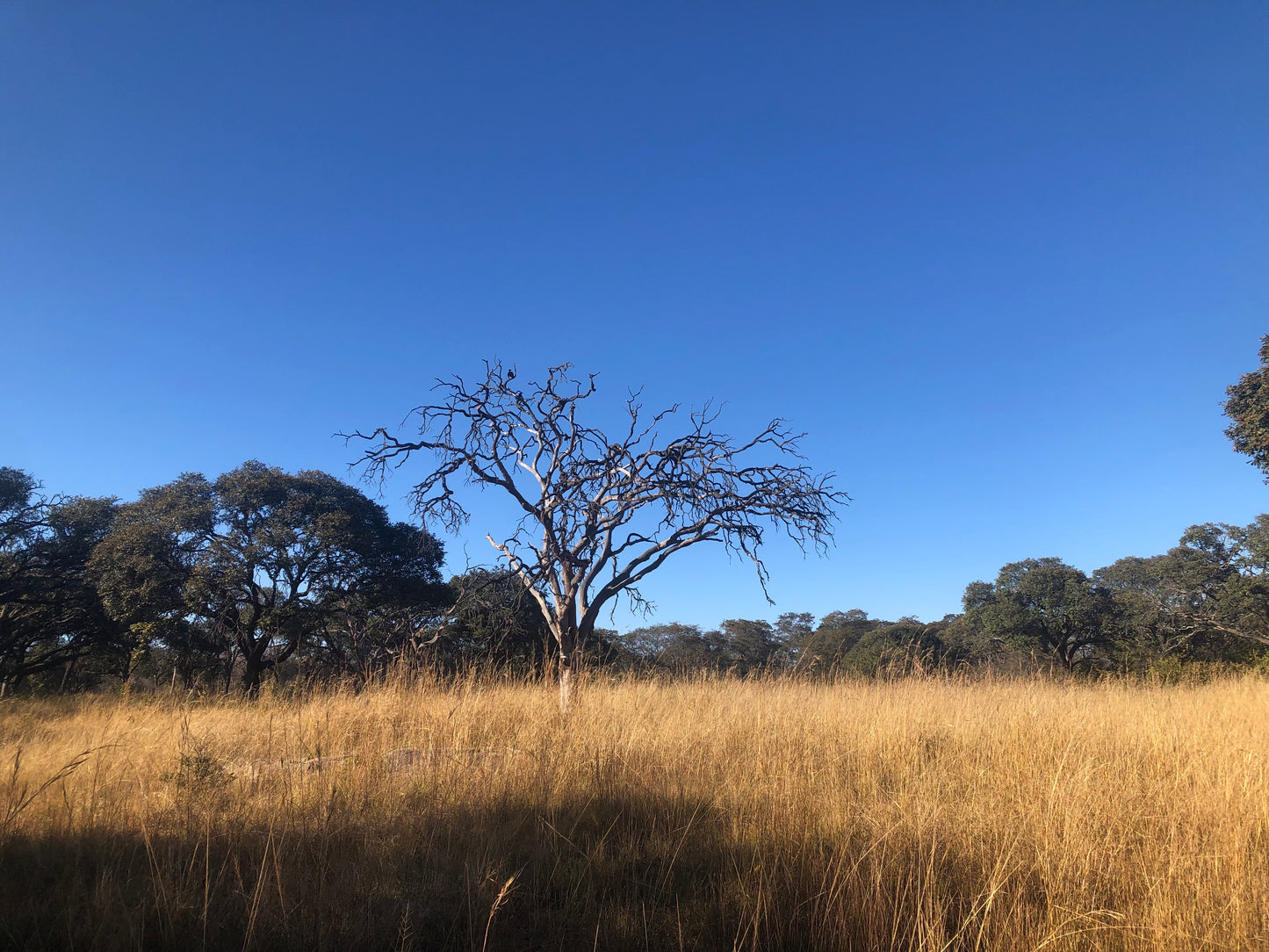 Sisters on the Trail — Inaugural Hike Ticket
