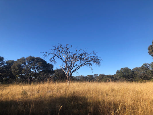 Sisters on the Trail — Inaugural Hike Ticket